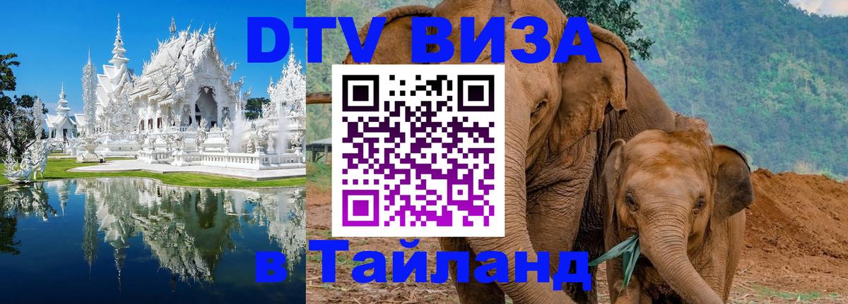 DTV (ДТВ) visa Таиланд 